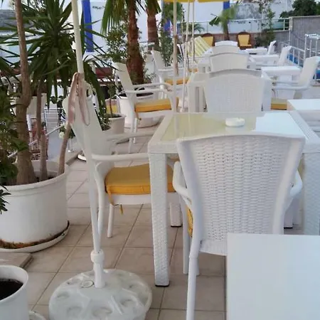 Ozzy Hotel Gumbet