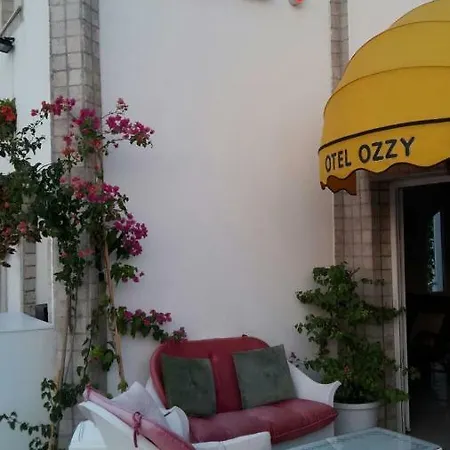 Hotel Ozzy Gumbet